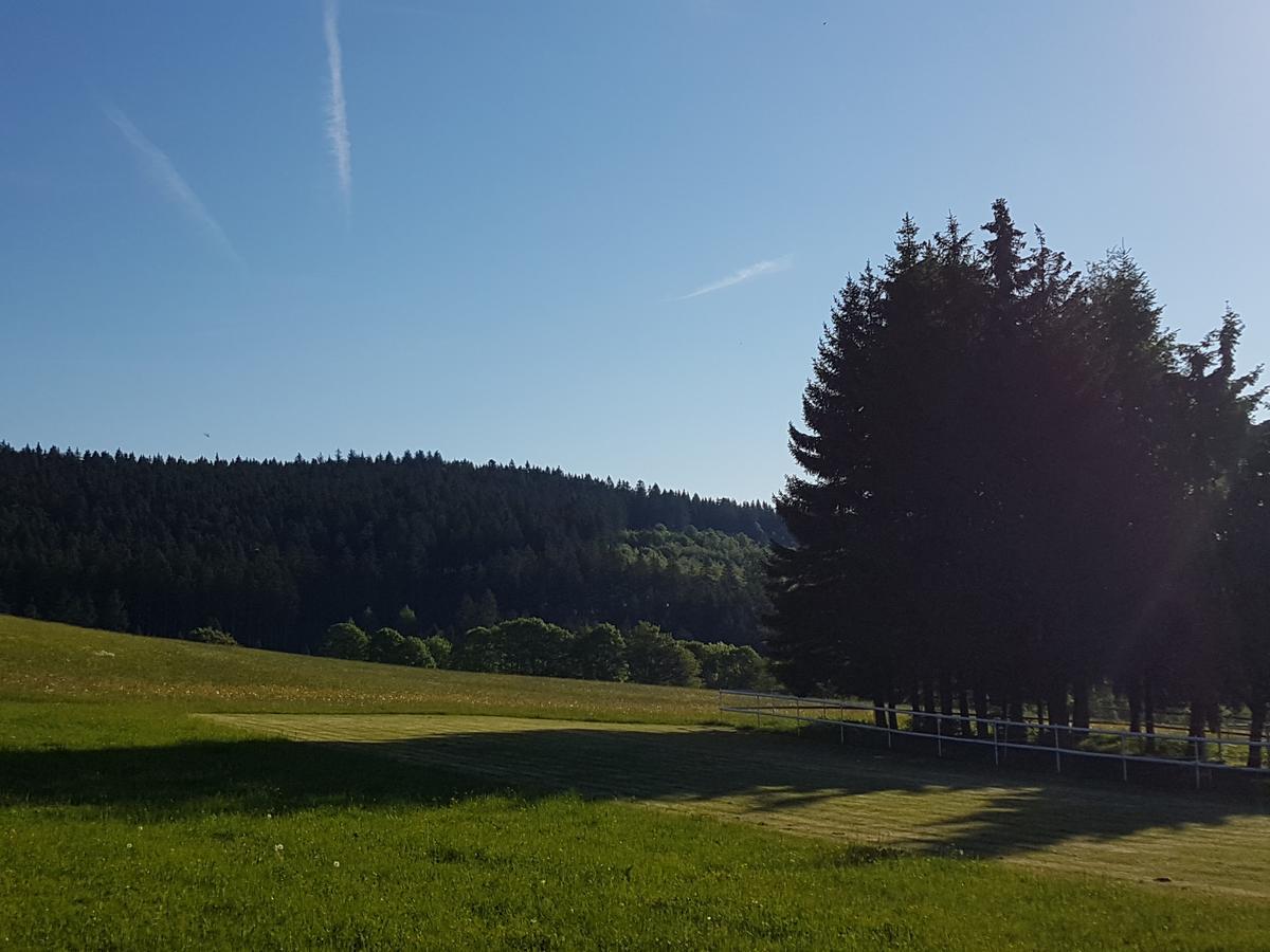 Gaestehaus Bartlehof Schluchsee Eksteriør billede